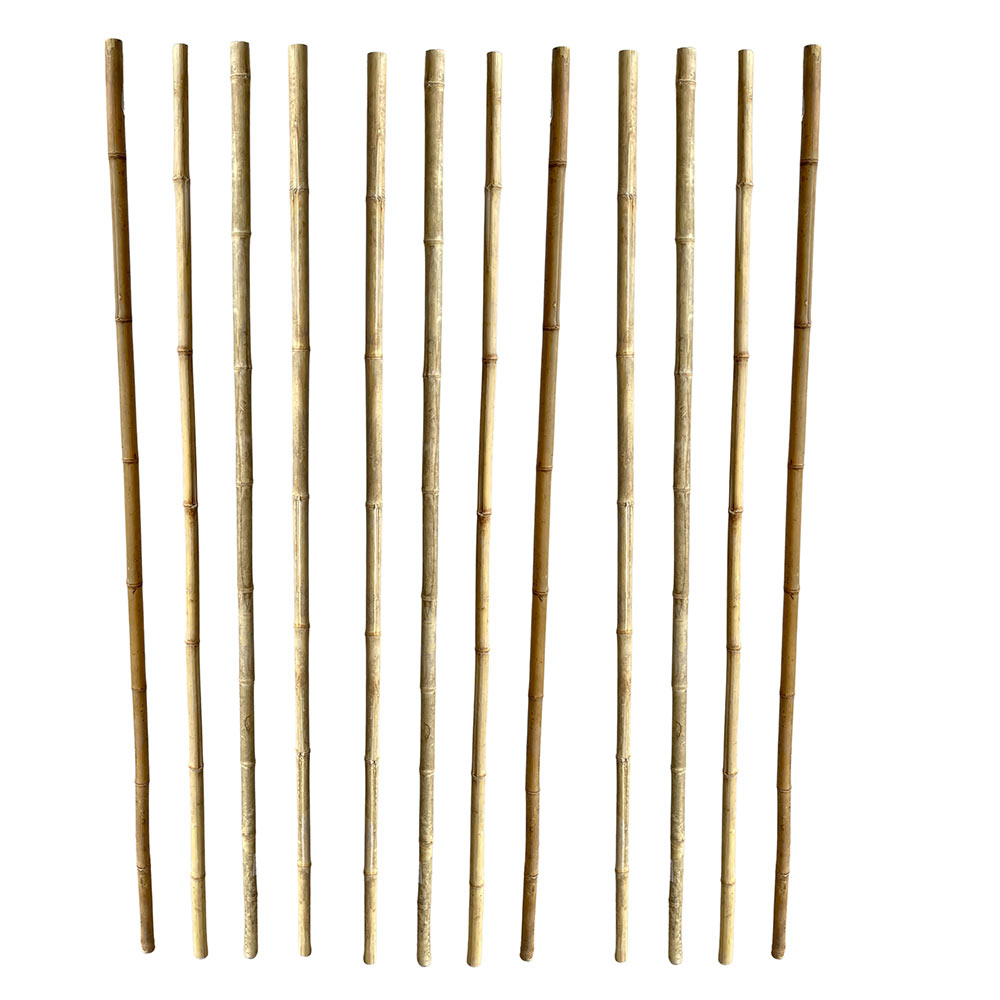 Canne di bambu per coperture | Ok Affare Fatto
